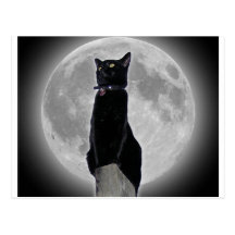 Cat in the Moon Post Cards