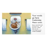 Cat in the sink painting fun happy whimsical art personalized photo card