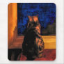 Cat in the Window