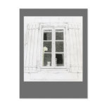 Cat in Window Postcard