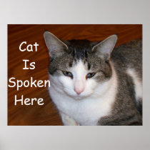Cat IsSpoken Here Print