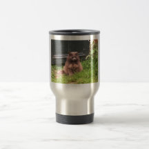 Cat 'Kyra' sitting in the grass Coffee Mugs