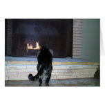Cat looking at fireplace card
