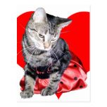 Cat "Love Bug" Valentine's Day postcard