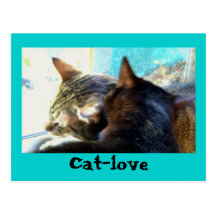 Cat-love postcard