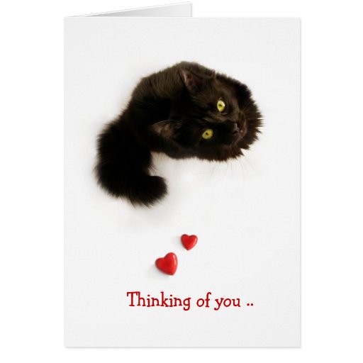 Cat Love Thinking Of You card | Zazzle