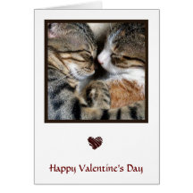 Cat Love Valentine Card