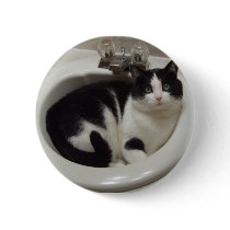 Cat lovers delight buttons