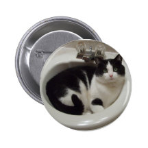 Cat lovers delight buttons