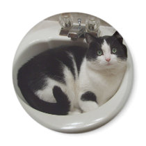 Cat lovers delight magnet
