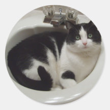 Cat lovers delight round stickers