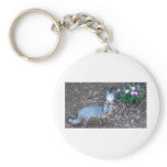 cat loves fox keychains