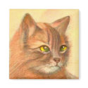 Cat magnets