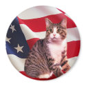 Cat Magnet All American