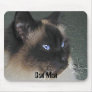 "Cat Mat" Mouse Mat Mouse Pad