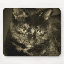 Cat & Mouse Mouse Pads