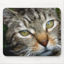 CAT MOUSEMATS