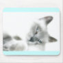 Cat Mousepad