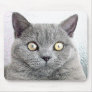 cat mouse mats