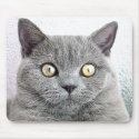 cat mousepads