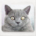 cat mousepads