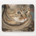 Cat mousepads