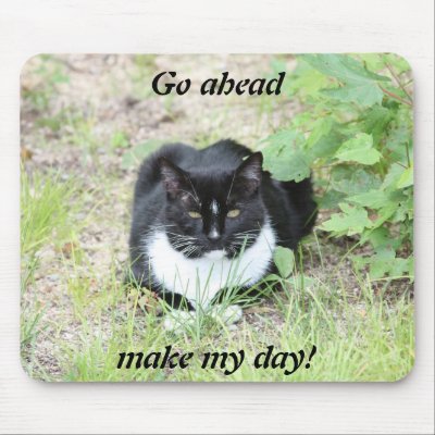 Cat mousepad by bkang22