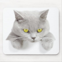 CAT MOUSEPADS