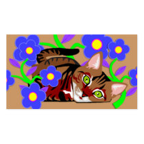 Cat Nap