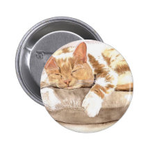 Cat Nap Button