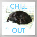 cat nap, CHILL, OUT posters