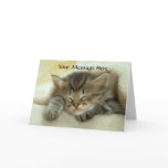 Cat Nap Greeting Card