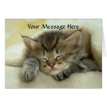 Cat Nap Greeting Card