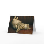 Cat nap - in the extreme cards