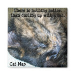 Cat Nap Magnet