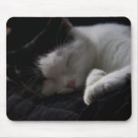 Cat Nap Mousepad