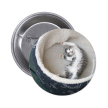 Cat Nap Pinback Button