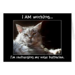 Cat napping in sunshine note or greeting card