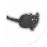 Cat Noir 4 stickers