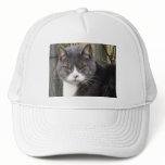 Cat on a Hat