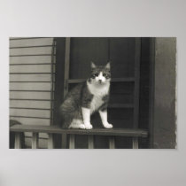 Cat on a rail poster