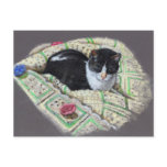 CAT ON AFGHAN: ORIGINAL ART