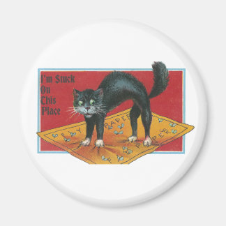 Untitled Cat Stuck In Refrigerator Door Magnet