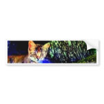 Cat on Oak Roots bumper stickers