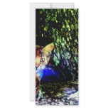 Cat on Oak Roots rack cards