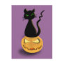 Cat on Pumpkin Happy Halloween Postcard III
