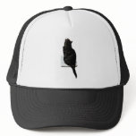 Cat on scales hats
