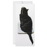 Cat on scales rack cards