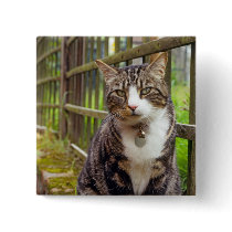 Cat on Wall Gift Button