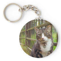 Cat on Wall Gift Keychain